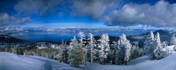 Tree line, Ellis Peak